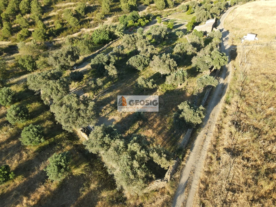 Quinta T0 para Venda em São Miguel do Pinheiro, São Pedro de Solis, São Sebastião dos Carros Foto 15