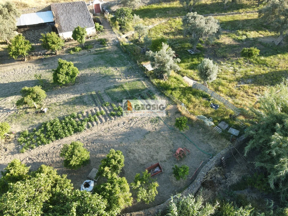 Quinta T0 para Venda em São Miguel do Pinheiro, São Pedro de Solis, São Sebastião dos Carros Foto 1