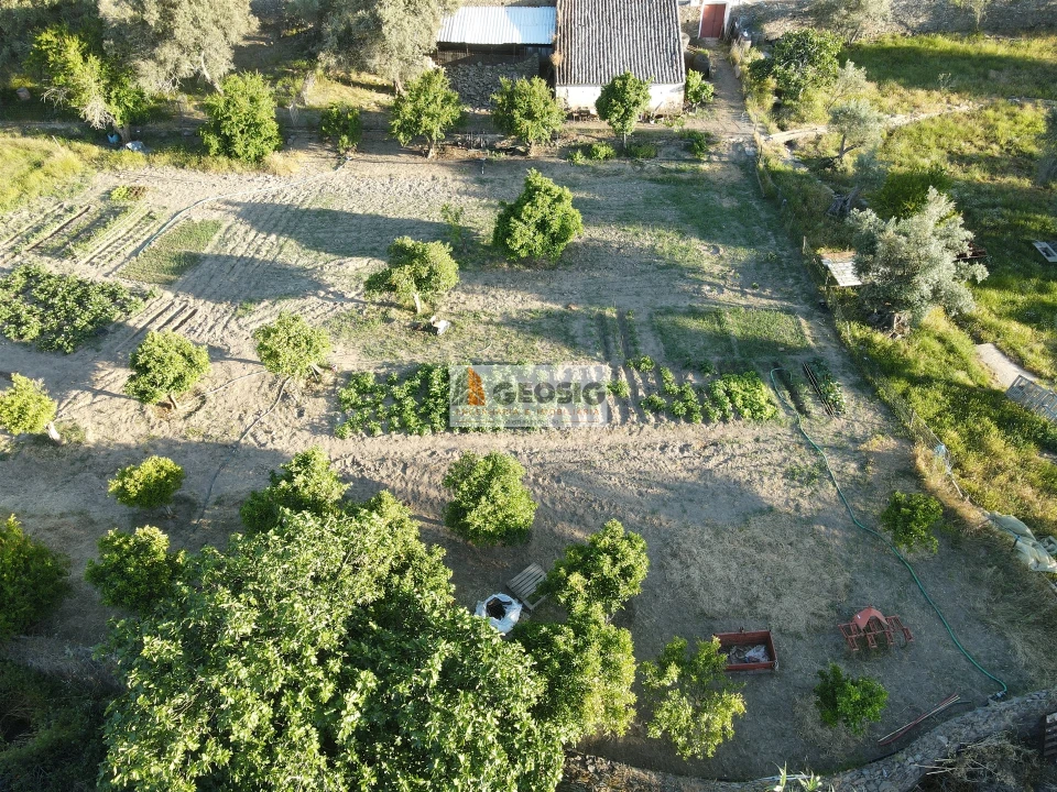 Quinta T0 para Venda em São Miguel do Pinheiro, São Pedro de Solis, São Sebastião dos Carros Foto 5