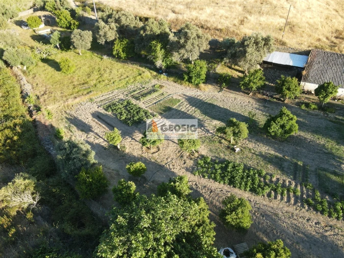 Quinta T0 para Venda em São Miguel do Pinheiro, São Pedro de Solis, São Sebastião dos Carros Foto 4