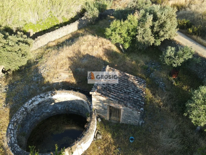 Quinta T0 para Venda em São Miguel do Pinheiro, São Pedro de Solis, São Sebastião dos Carros Foto 12