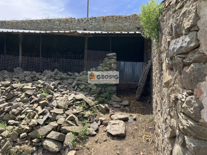 Quinta T0 para Venda em São Miguel do Pinheiro, São Pedro de Solis, São Sebastião dos Carros Foto 3