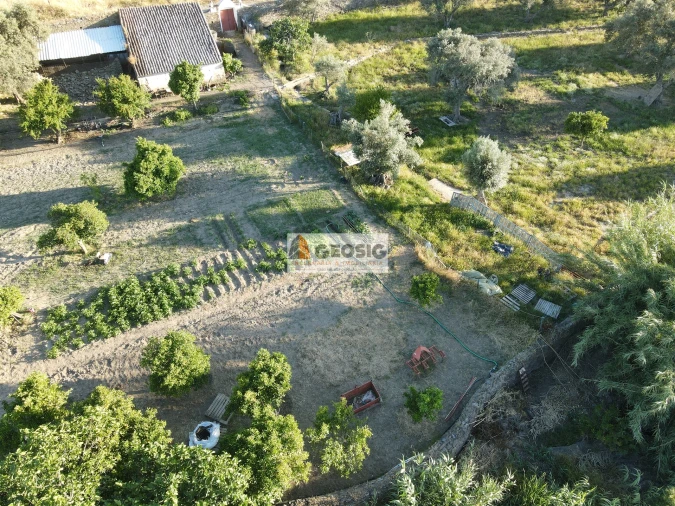 Quinta T0 para Venda em São Miguel do Pinheiro, São Pedro de Solis, São Sebastião dos Carros Foto 1