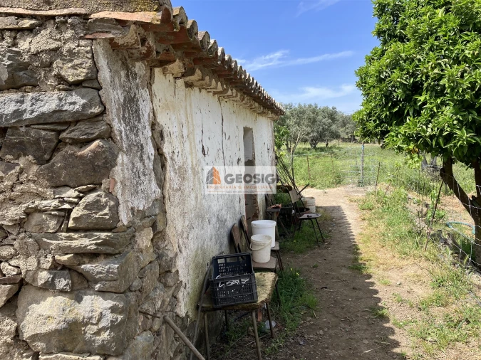 Quinta T0 para Venda em São Miguel do Pinheiro, São Pedro de Solis, São Sebastião dos Carros Foto 2
