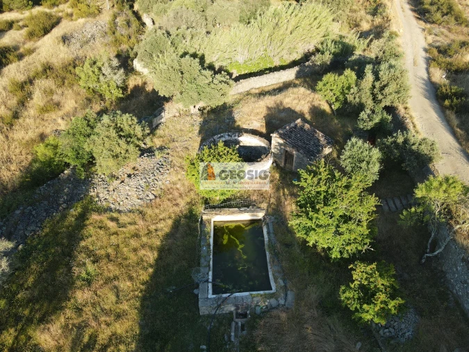 Quinta T0 para Venda em São Miguel do Pinheiro, São Pedro de Solis, São Sebastião dos Carros Foto 14