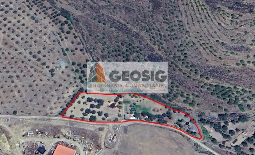 Quinta T0 para Venda em São Miguel do Pinheiro, São Pedro de Solis, São Sebastião dos Carros Foto 16