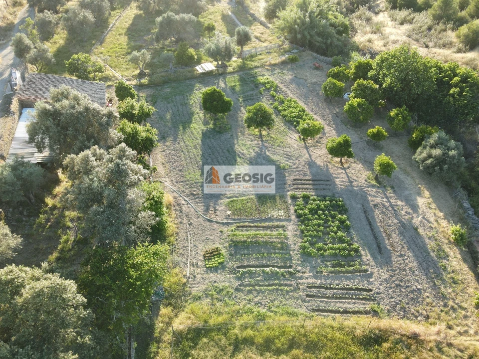 Quinta T0 para Venda em São Miguel do Pinheiro, São Pedro de Solis, São Sebastião dos Carros Foto 6