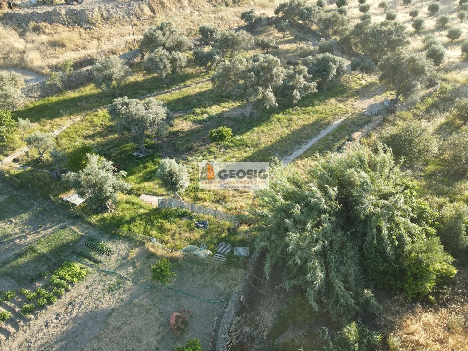 Quinta T0 para Venda em São Miguel do Pinheiro, São Pedro de Solis, São Sebastião dos Carros Foto 7