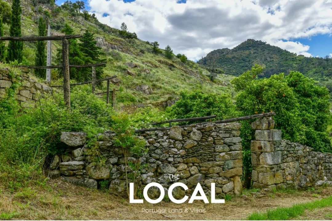 Quinta T7 para Venda em Carrazeda de Ansiães Foto 24