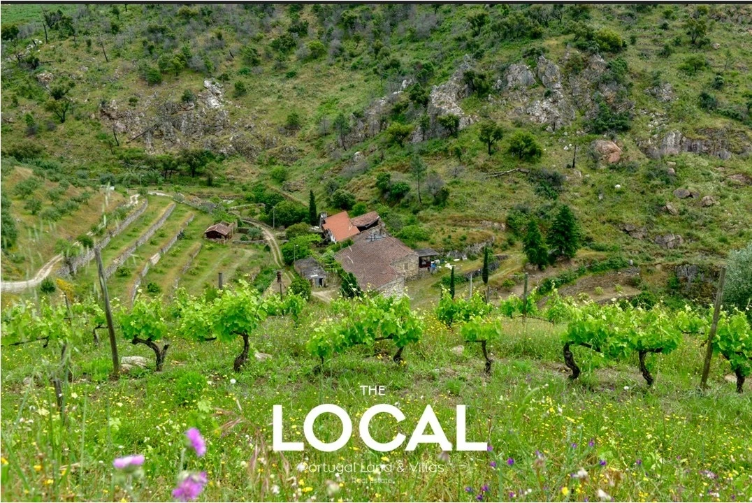 Quinta T7 para Venda em Carrazeda de Ansiães Foto 10