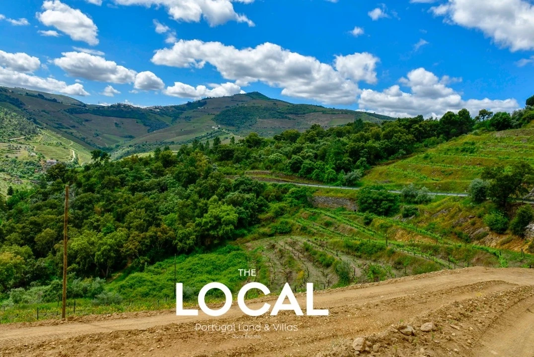 Quinta T7 para Venda em Carrazeda de Ansiães Foto 2