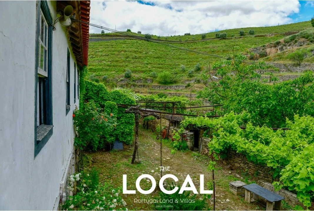 Quinta T7 para Venda em Carrazeda de Ansiães Foto 17
