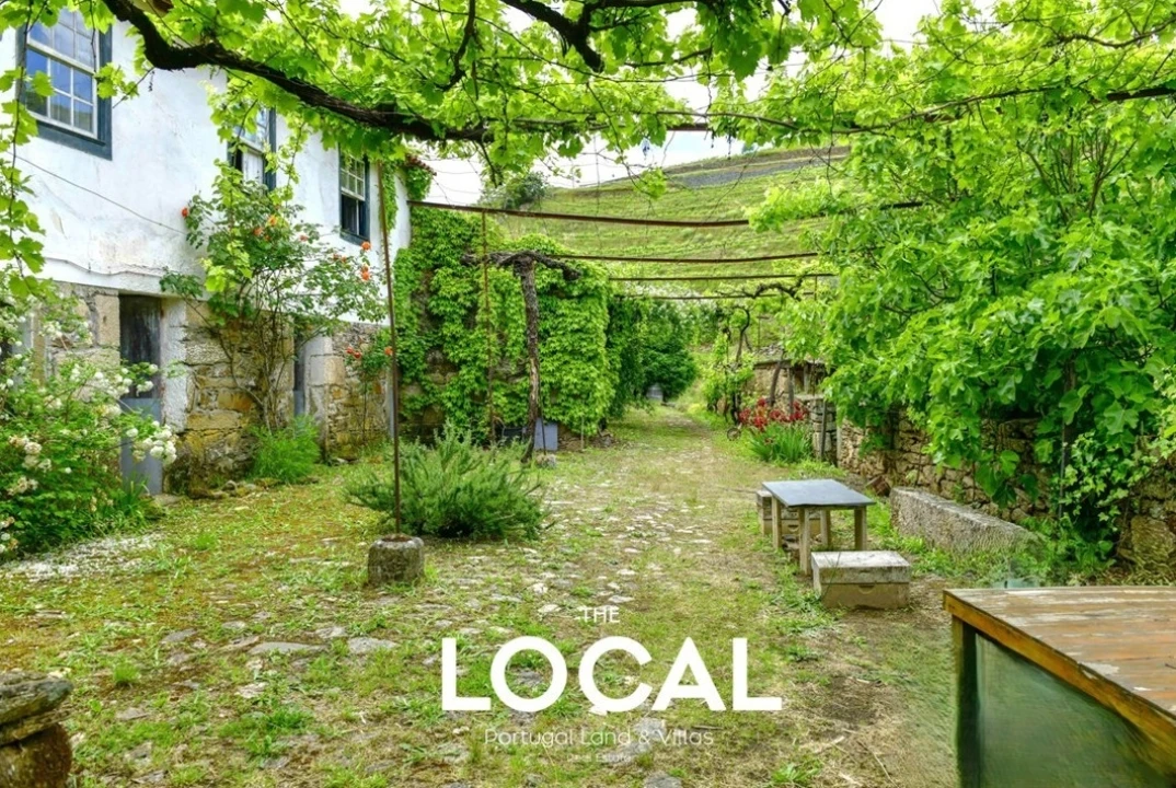 Quinta T7 para Venda em Carrazeda de Ansiães Foto 15