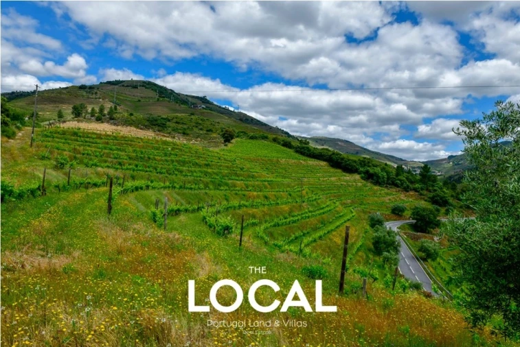 Quinta T7 para Venda em Carrazeda de Ansiães Foto 8