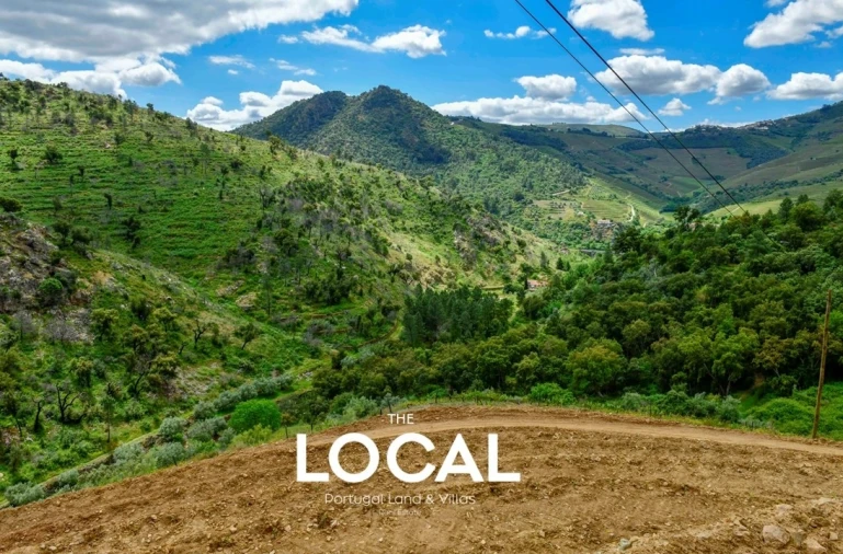 Quinta T7 para Venda em Carrazeda de Ansiães Foto 1