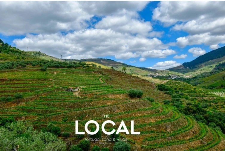 Quinta T7 para Venda em Carrazeda de Ansiães Foto 5