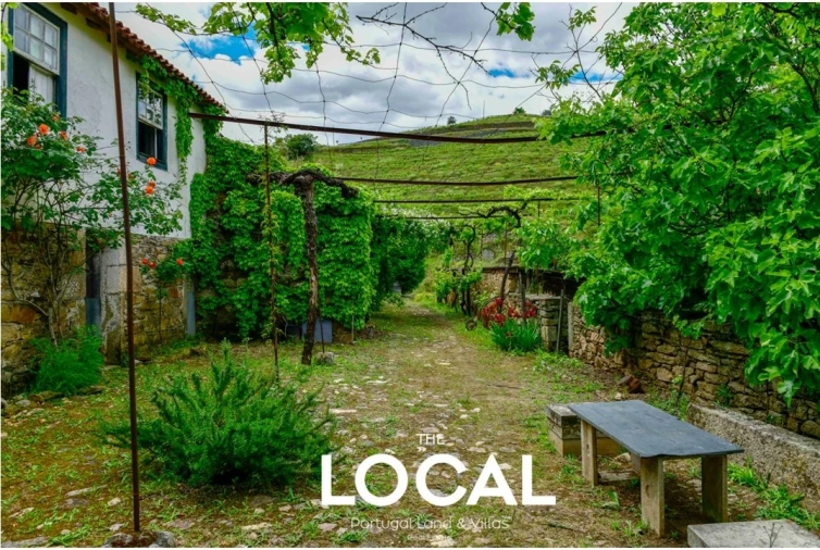 Quinta T7 para Venda em Carrazeda de Ansiães Foto 22