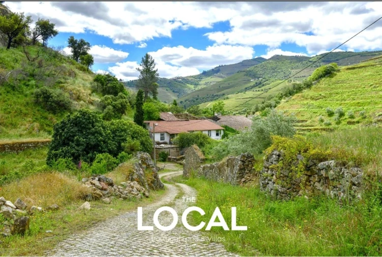 Quinta T7 para Venda em Carrazeda de Ansiães Foto 12