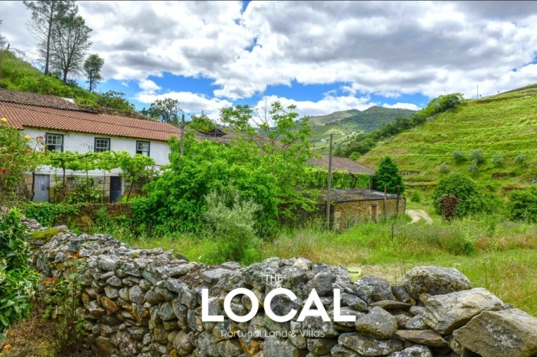 Quinta T7 para Venda em Carrazeda de Ansiães Foto 14