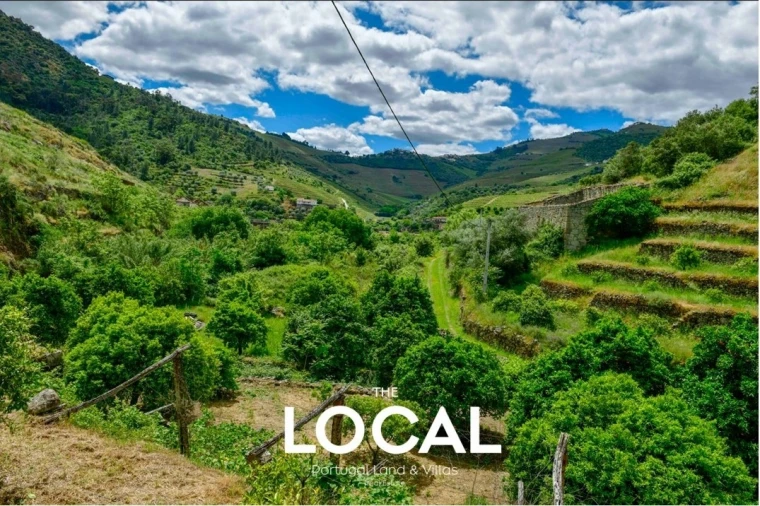 Quinta T7 para Venda em Carrazeda de Ansiães Foto 16