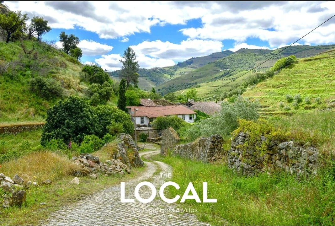 Quinta T7 para Venda em Carrazeda de Ansiães Foto 12