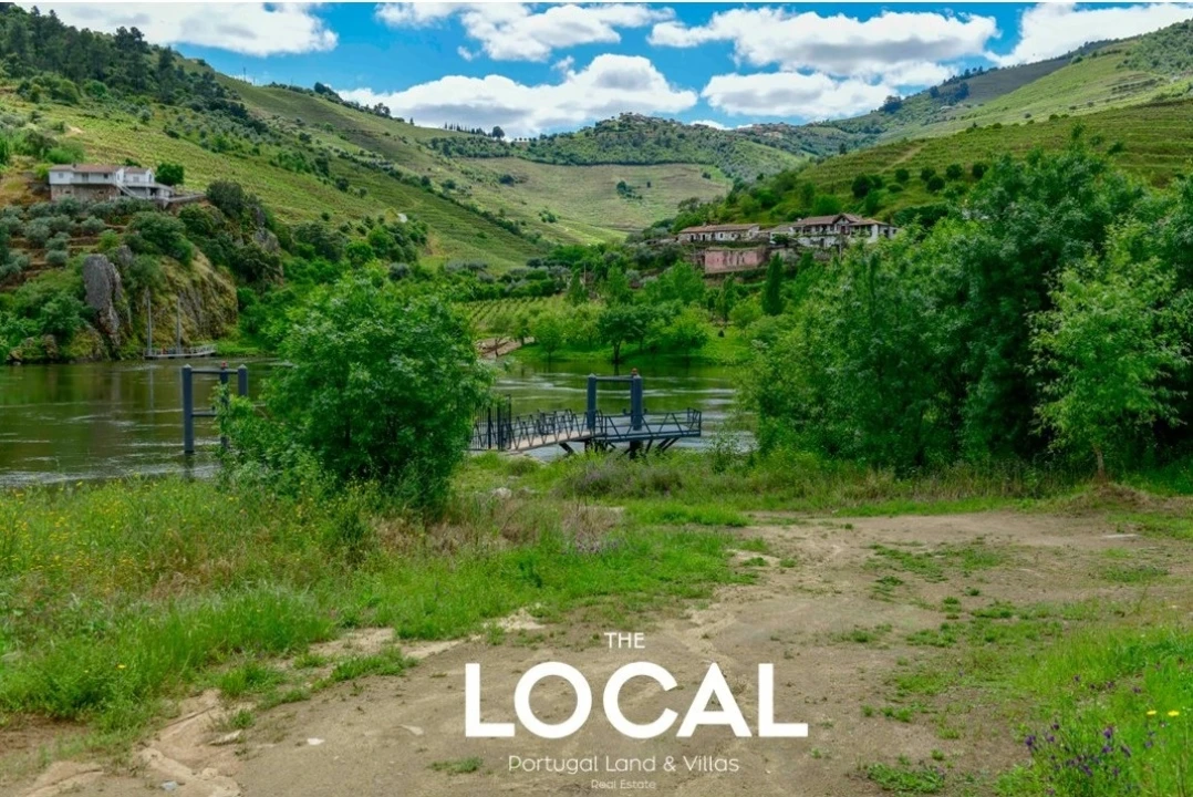 Quinta T7 para Venda em Carrazeda de Ansiães Foto 20