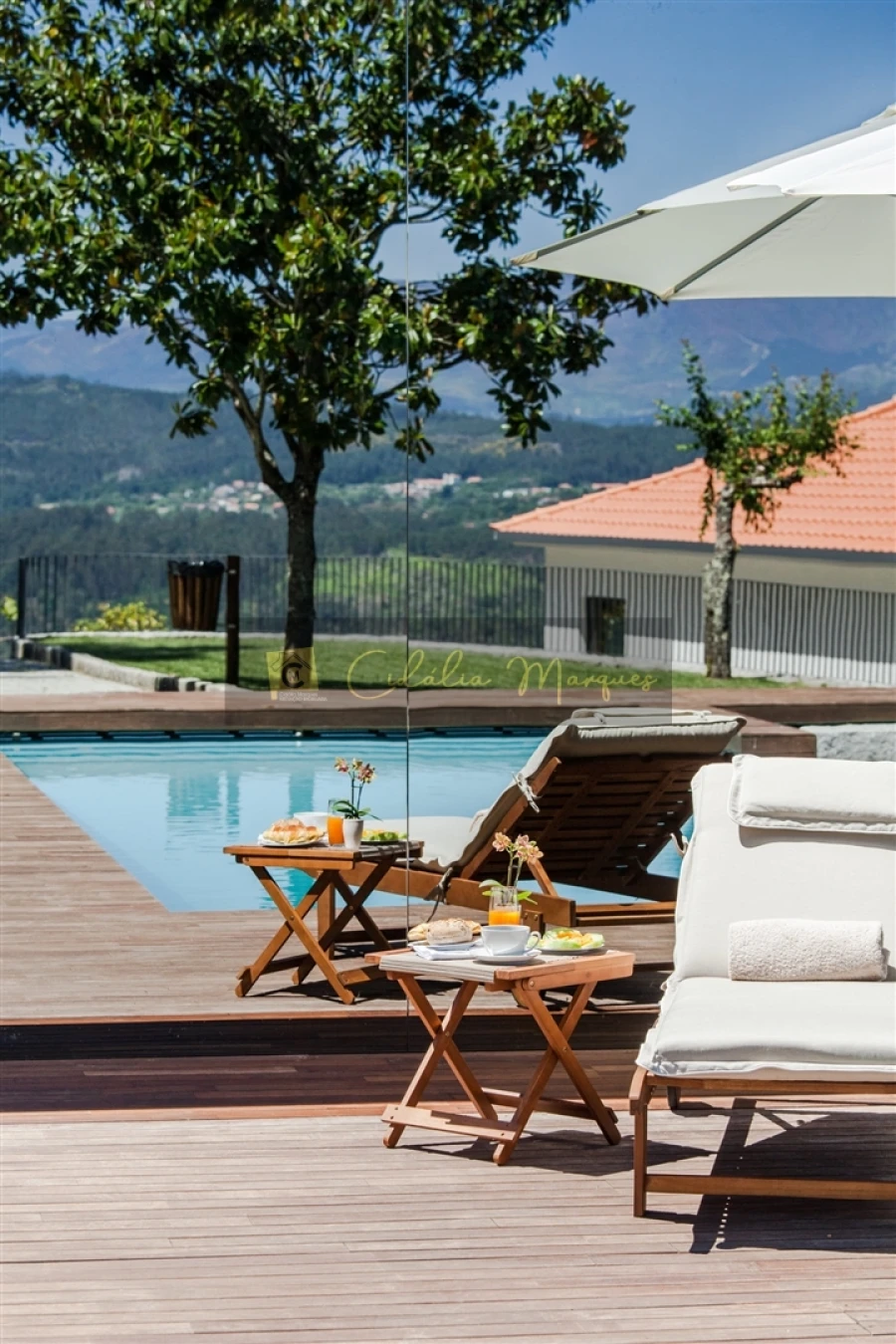 Quinta T0 para Venda em Vouzela e Paços de Vilharigues Foto 5