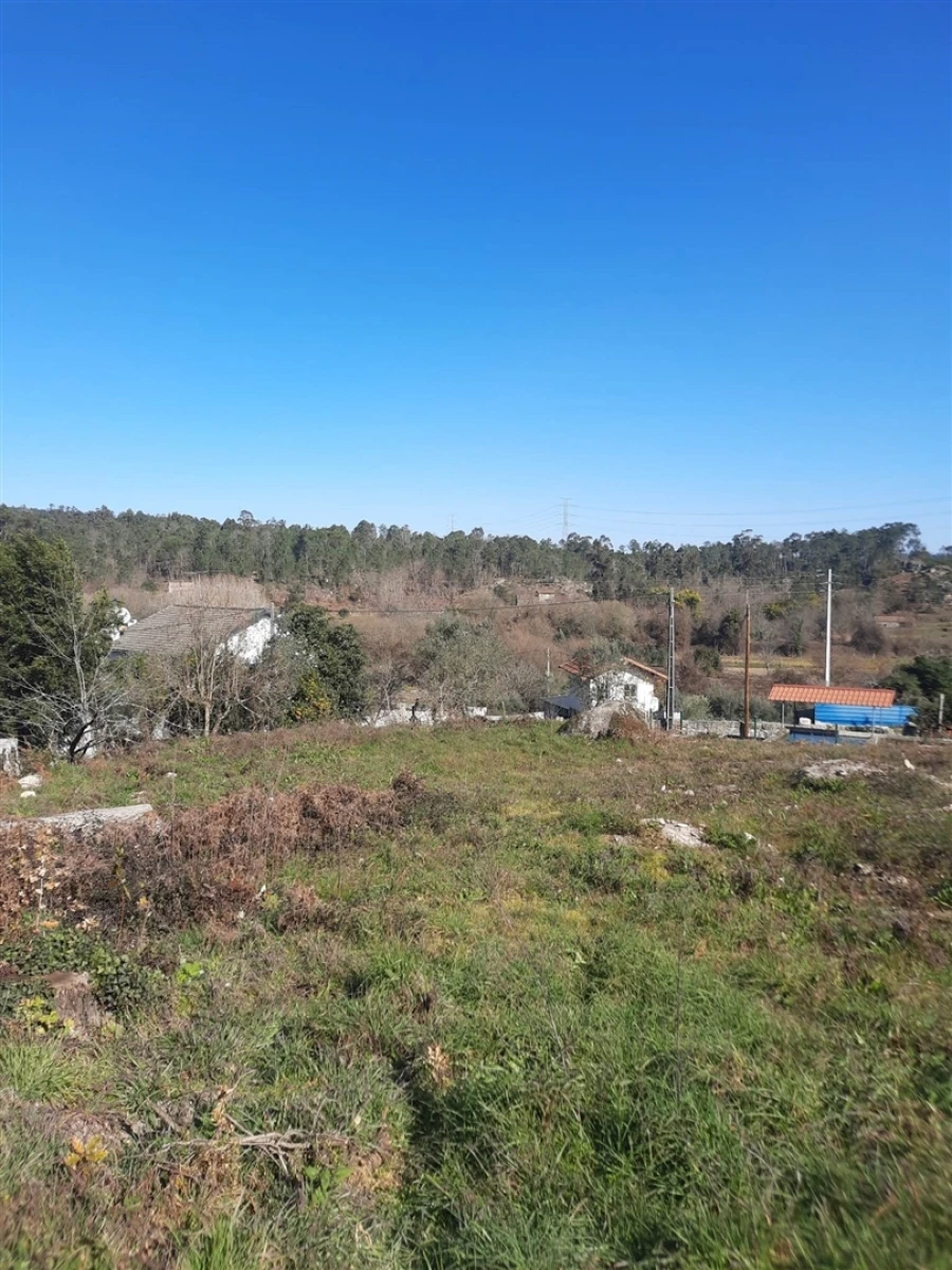 Terreno para Venda em Couto de Baixo e Couto de Cima Foto 9