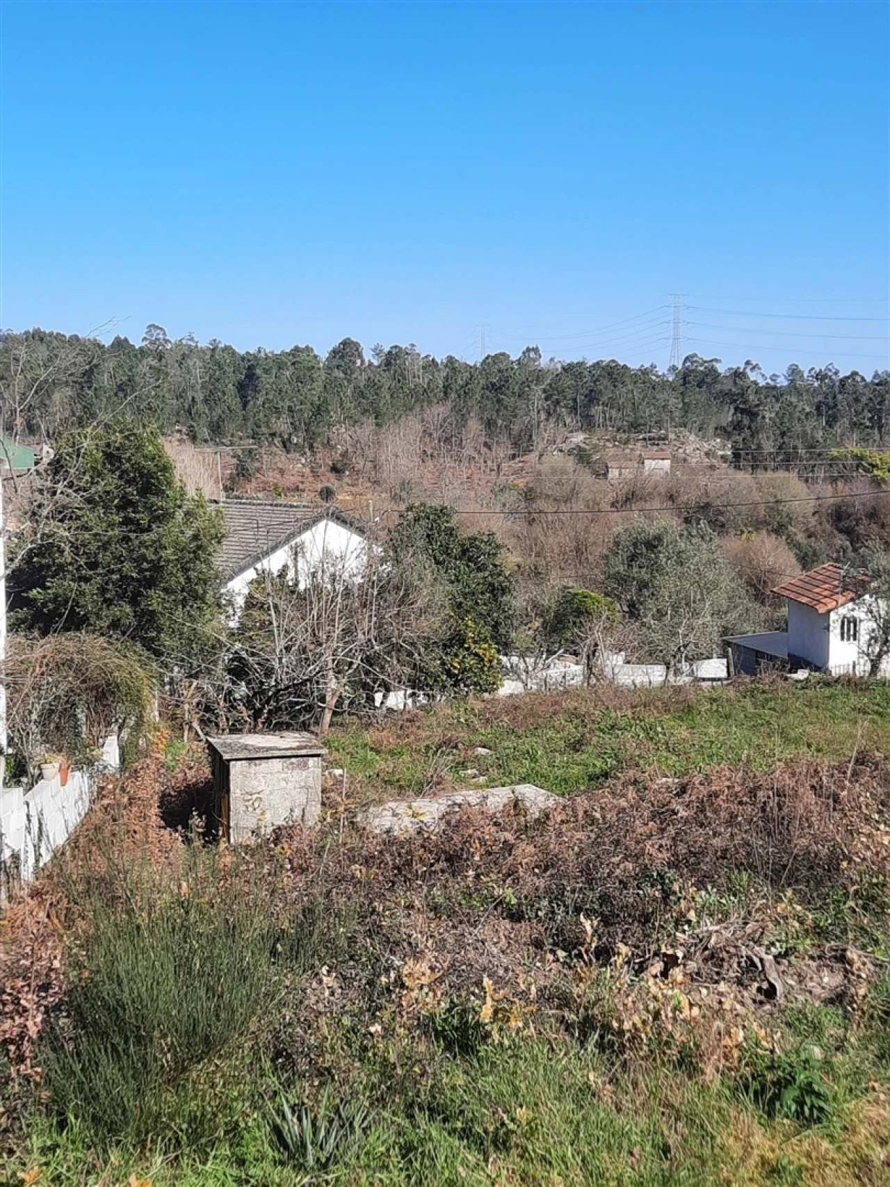Terreno para Venda em Couto de Baixo e Couto de Cima Foto 6