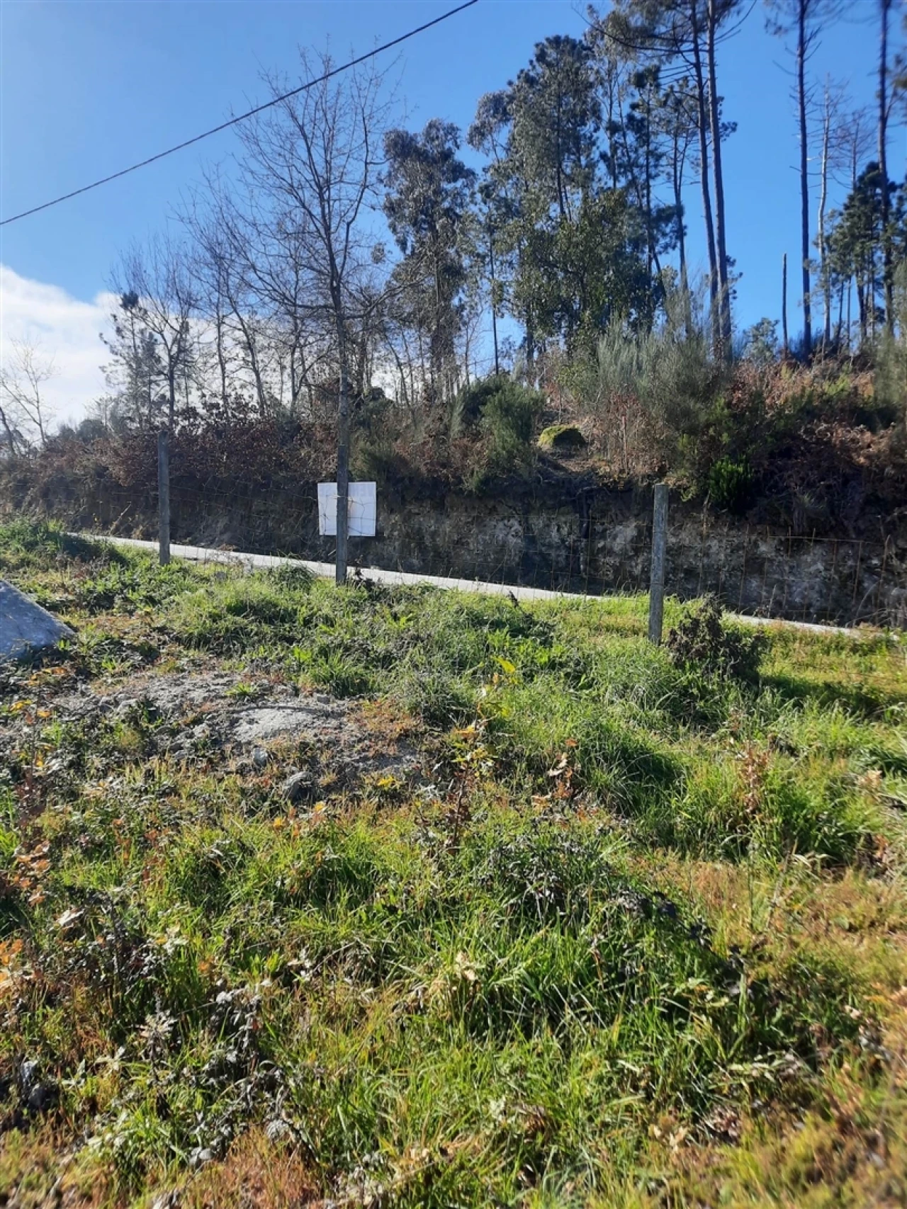 Terreno para Venda em Couto de Baixo e Couto de Cima Foto 7