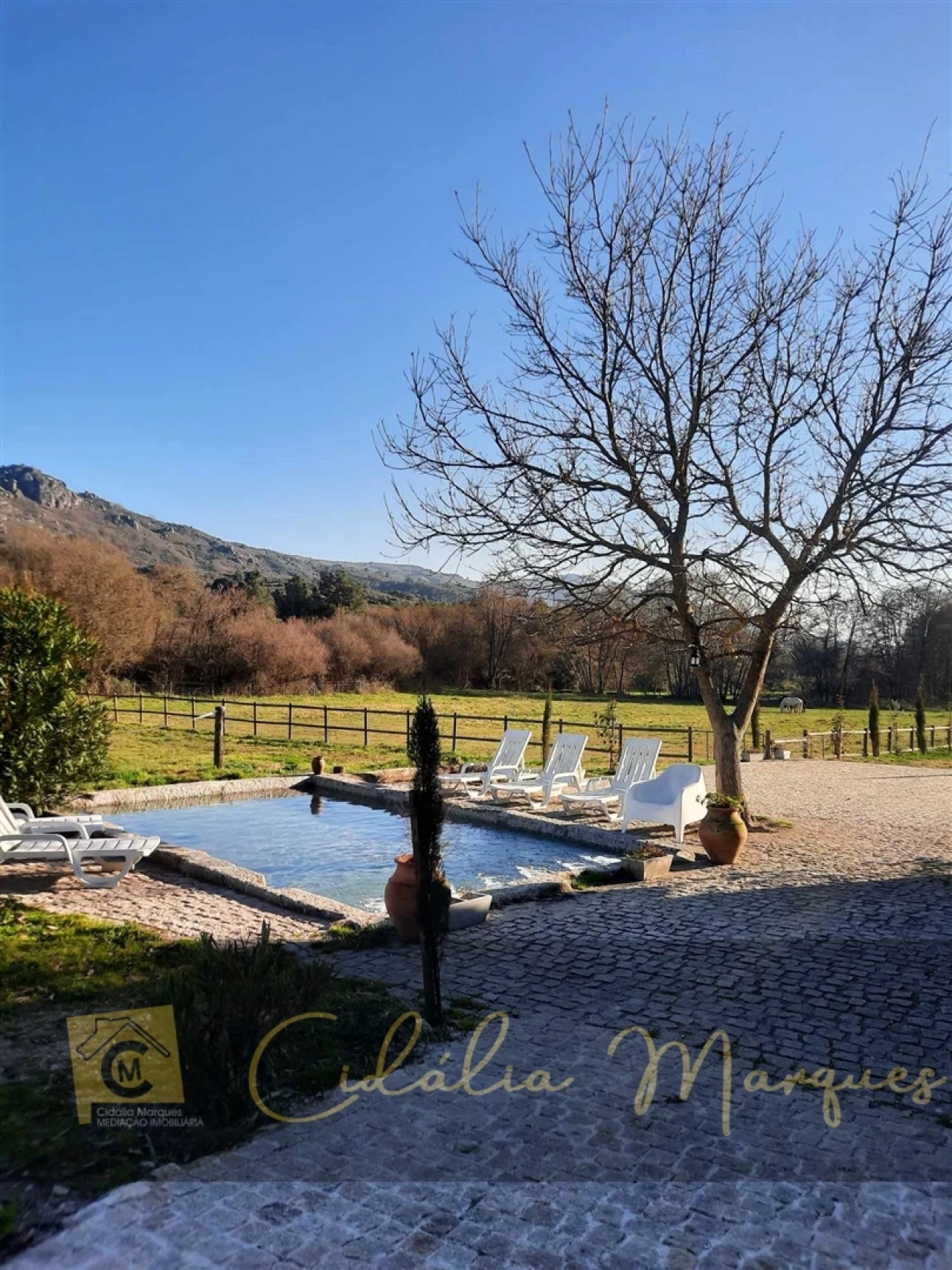 Quinta T0 para Venda em Açores e Velosa Foto 18