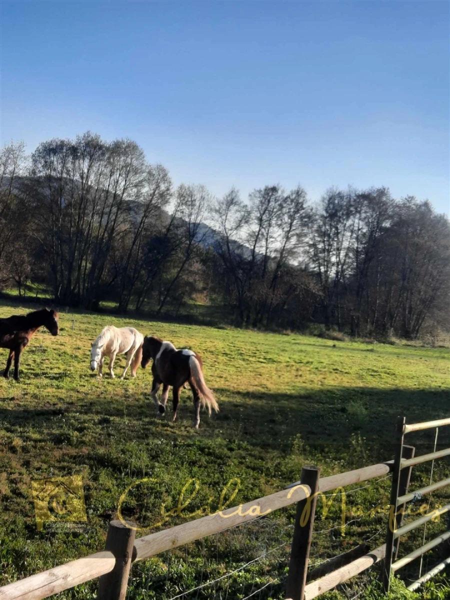 Quinta T0 para Venda em Açores e Velosa Foto 24