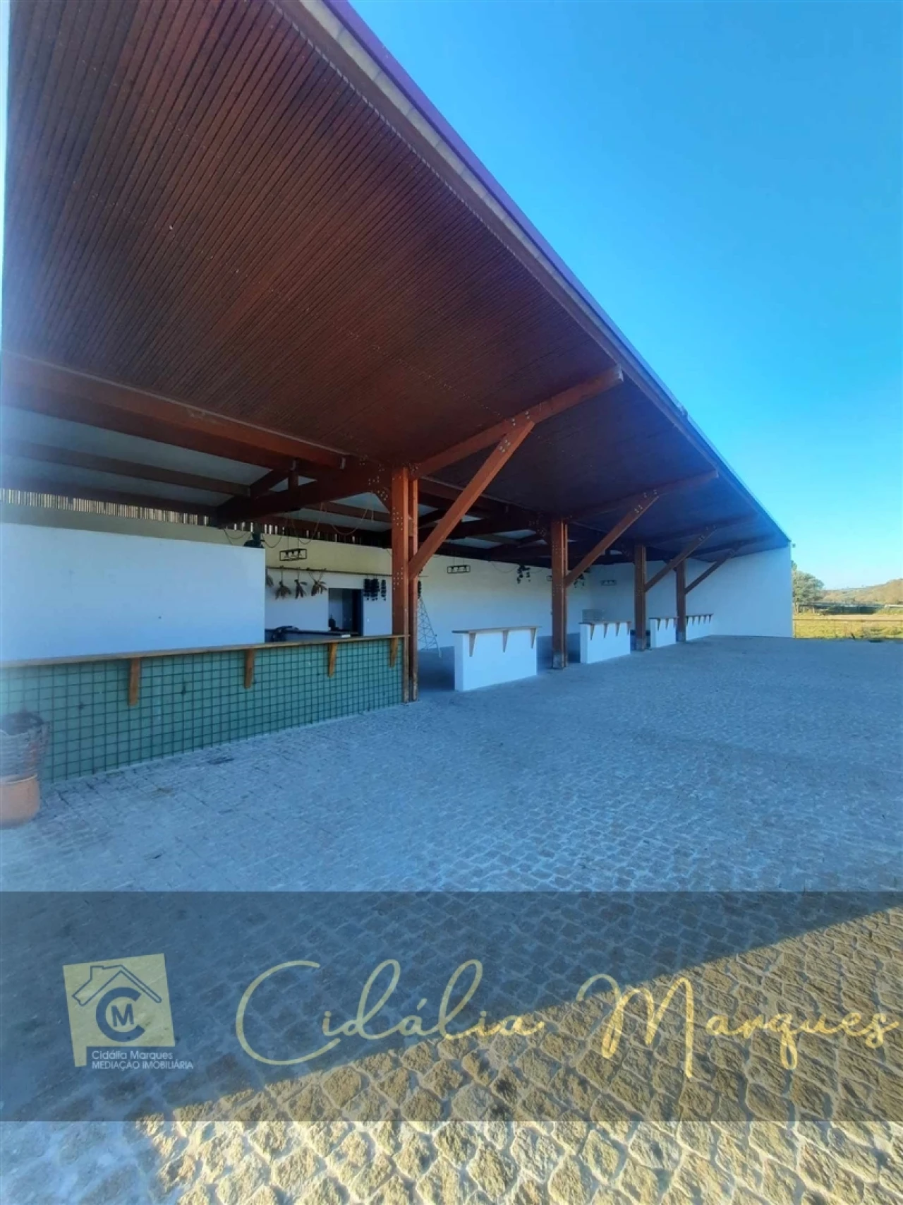 Quinta T0 para Venda em Açores e Velosa Foto 19