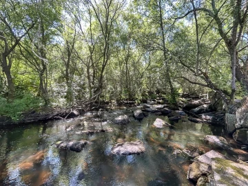 Quinta T6 para Venda em Alcains