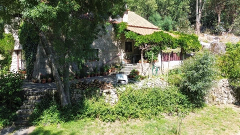 Quinta T6 para Venda em Alcains
