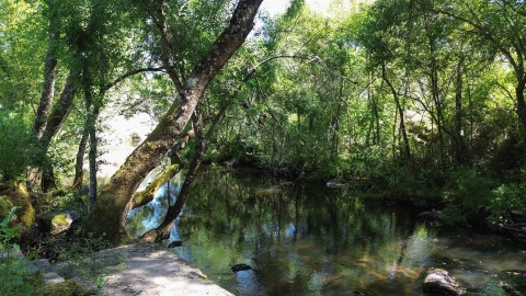 Quinta T6 para Venda em Alcains