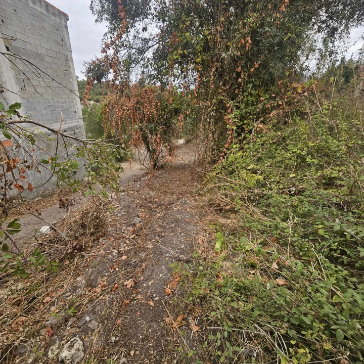 Quinta T0 para Venda em Seiça Foto 13