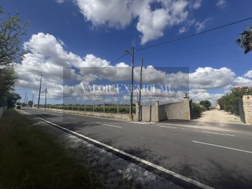 Moradia T2 para Venda em Pinhal Novo