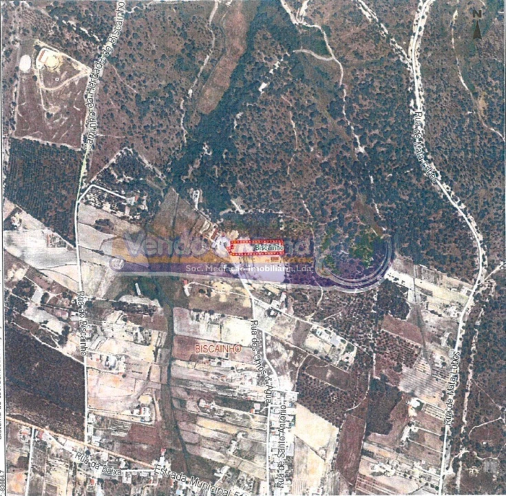 Terreno para Venda em Biscainho Foto 5