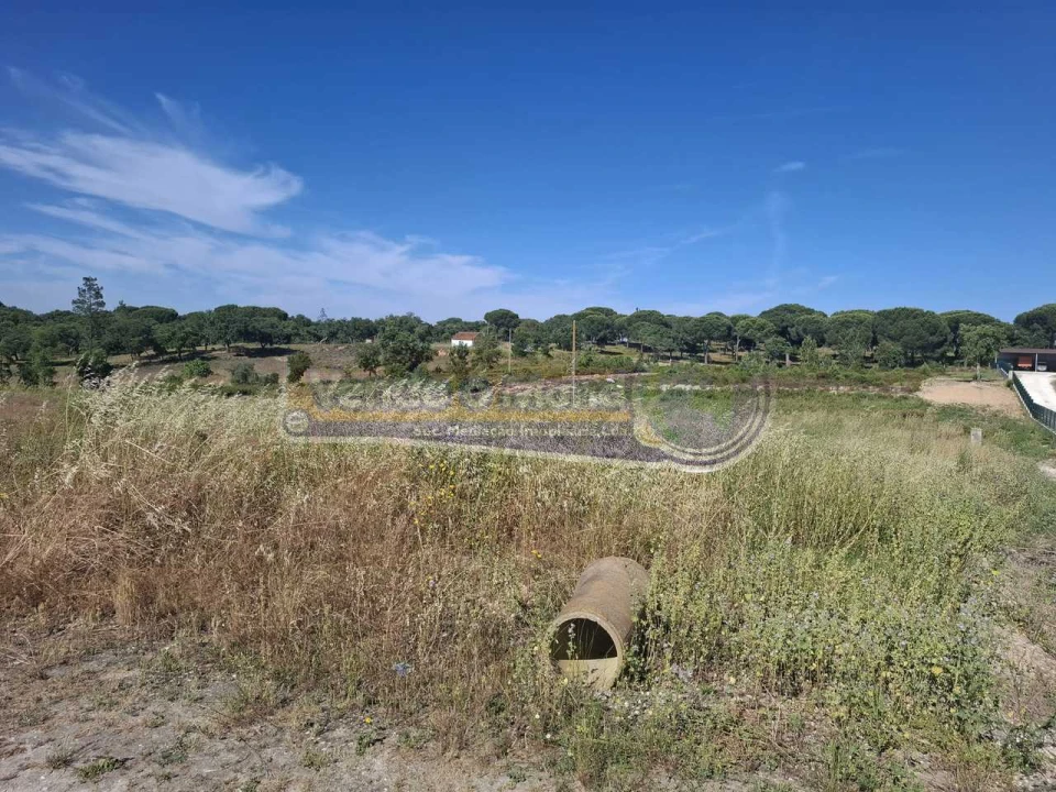 Terreno para Venda em Biscainho Foto 4