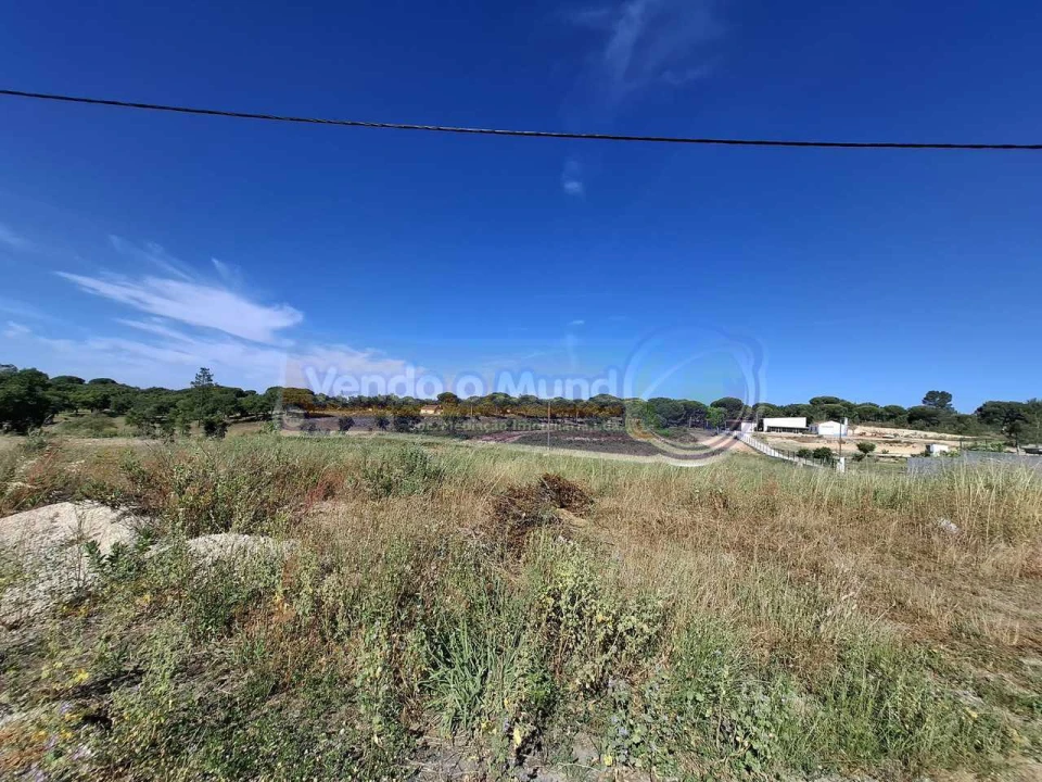 Terreno para Venda em Biscainho Foto 3