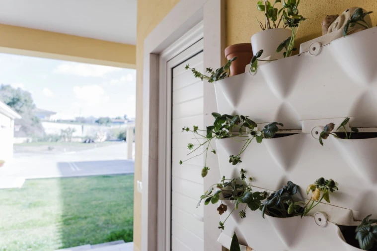 Moradia T4 para Venda em Alqueidão Foto 23