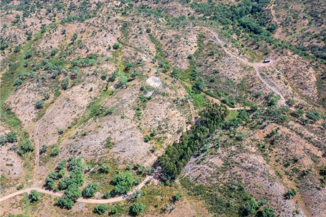 Terreno para Venda em Abela Foto 6