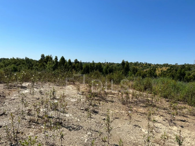 Terreno para Venda em Abela Foto 25