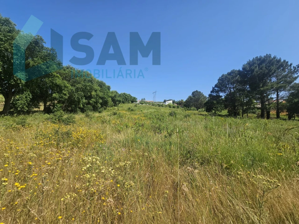 Terreno para Venda em Carvoeira e Carmões Foto 1