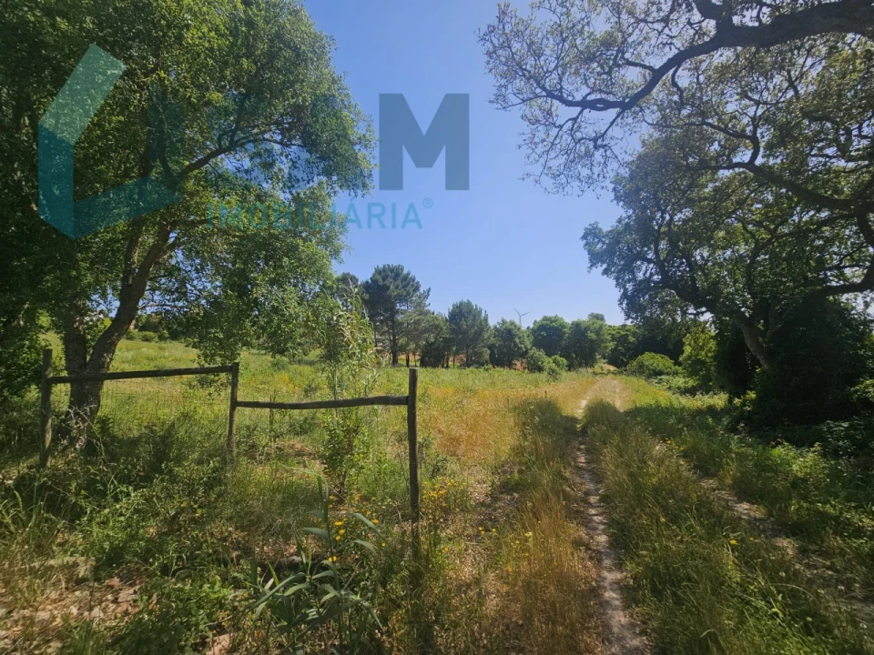 Terreno para Venda em Carvoeira e Carmões Foto 5