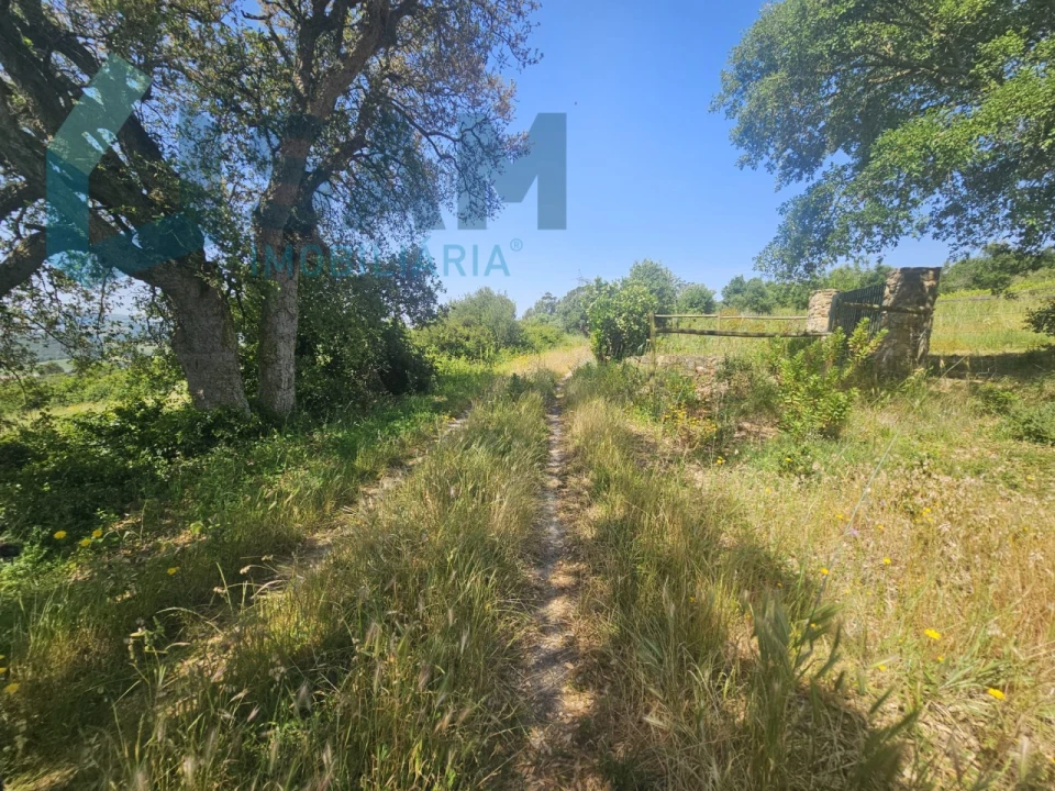 Terreno para Venda em Carvoeira e Carmões Foto 8