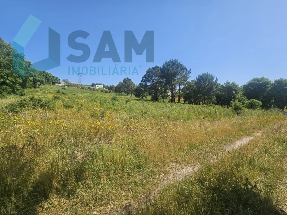 Terreno para Venda em Carvoeira e Carmões Foto 9