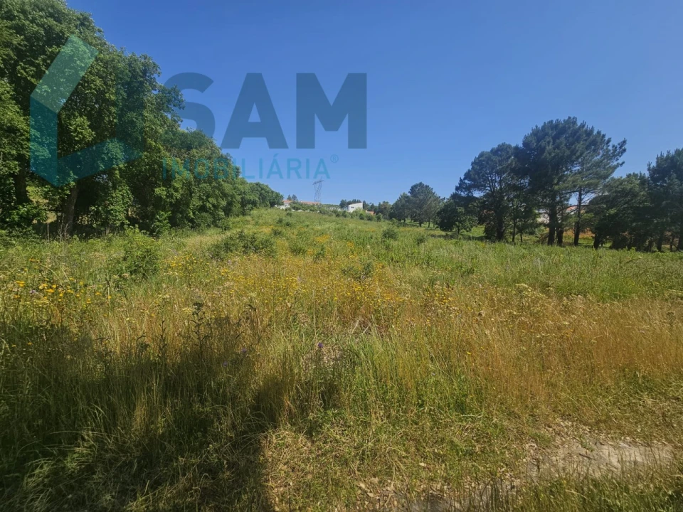 Terreno para Venda em Carvoeira e Carmões Foto 10