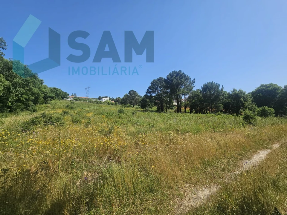 Terreno para Venda em Carvoeira e Carmões Foto 12